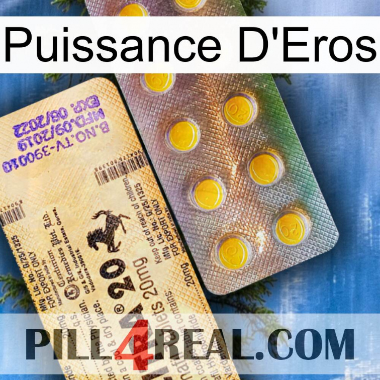 Eros Power new06